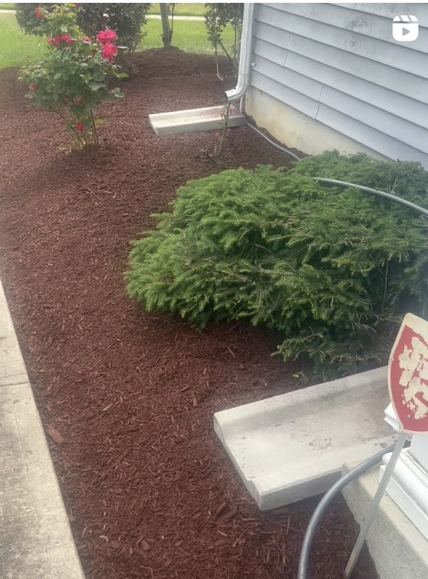 Professional lawn care maintenance